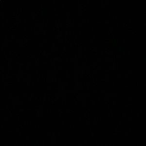 Meet your Posher, Charlotte